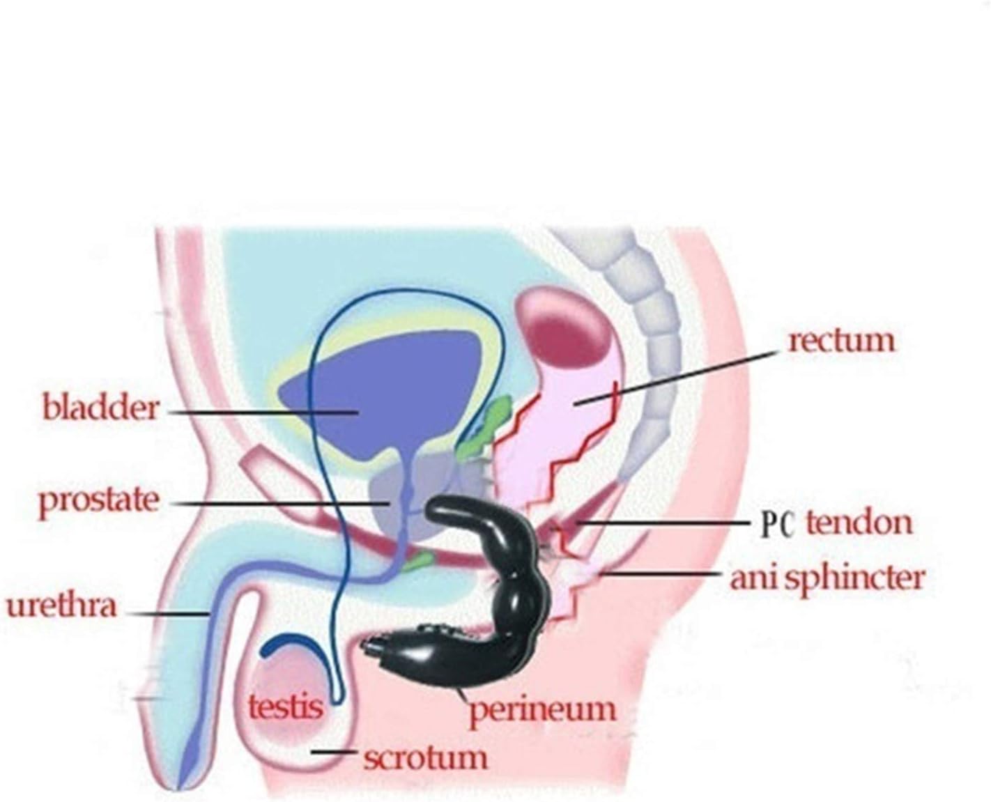 Estimulador masajeador anal prostatico flexible